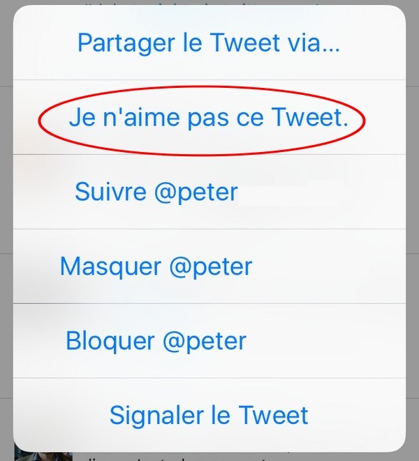 10beb309d361b556852caaca25099