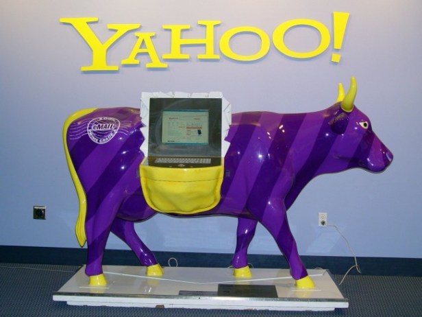 yahoo-vache_photo